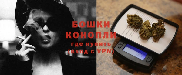 прущие грибы Арсеньев