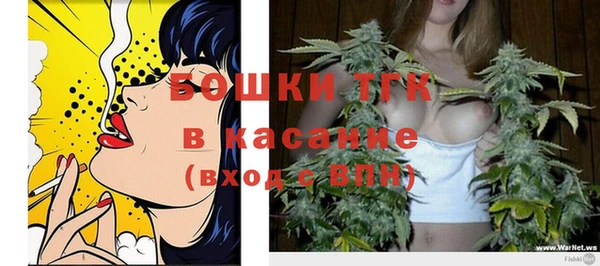 прущие грибы Арсеньев