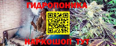 mdpv Беслан