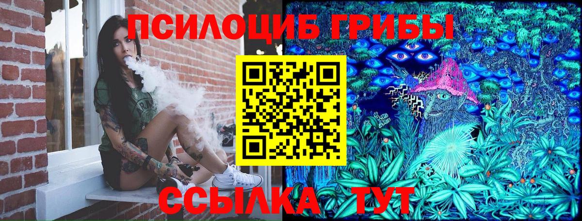 Галлюциногенные грибы Psilocybine cubensis Елабуга