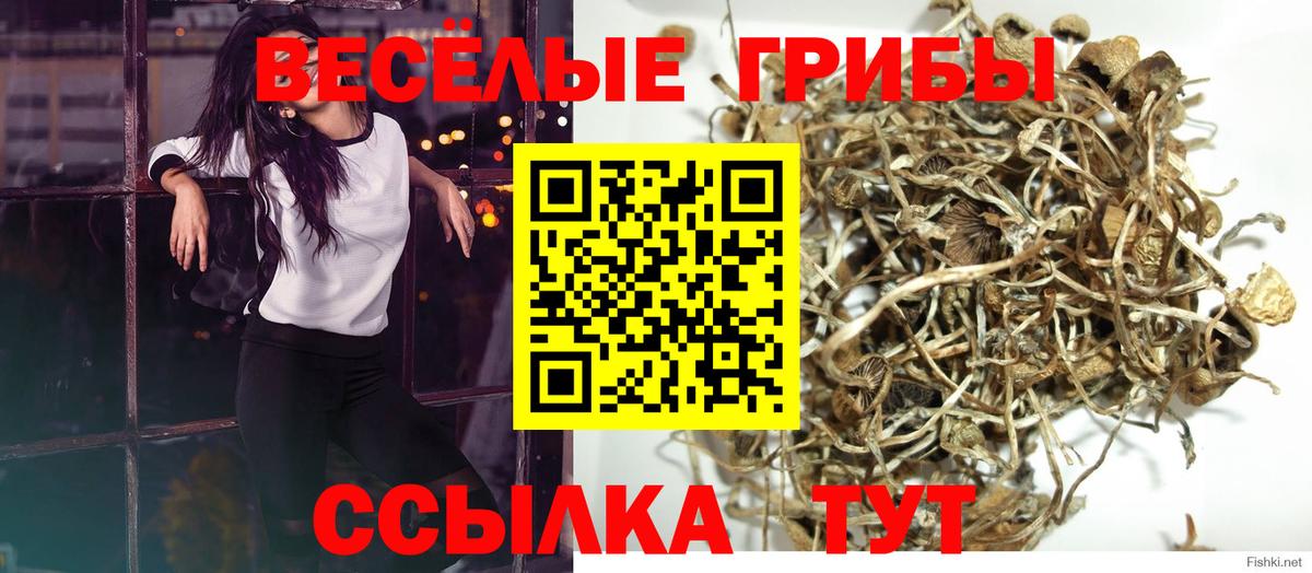 Елабуга  Галлюциногенные грибы MAGIC MUSHROOMS  Вход с VPN 